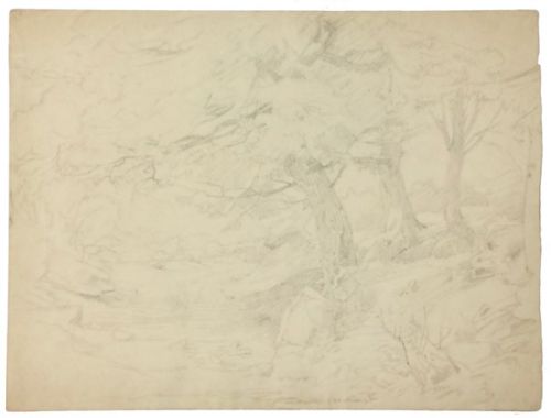 baumgruppe-mit-drei-baeumen-500-bleistift.jpg