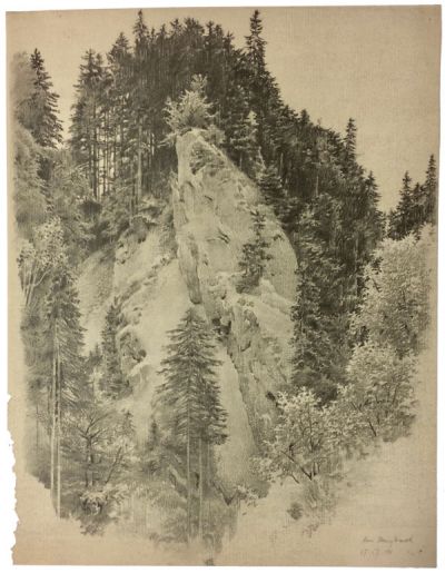 felsformation-vor-einem-tannengebuesch-400-bleistift.jpg