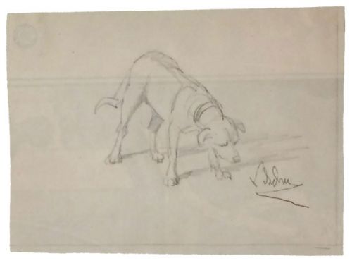 hund-in-schnueffelstellung-500-bleistift.jpg