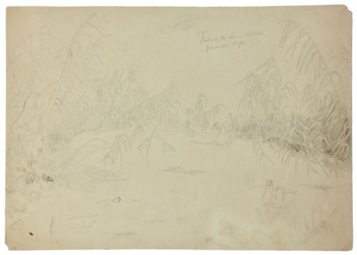 teich-mit-schilfbewuchs-am-rand-500-bleistift.jpg