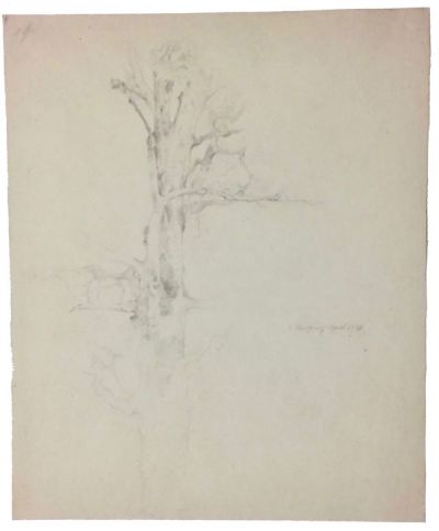 unbelaubter-baum-1842-mappe-1-12-400-bleistift.jpg