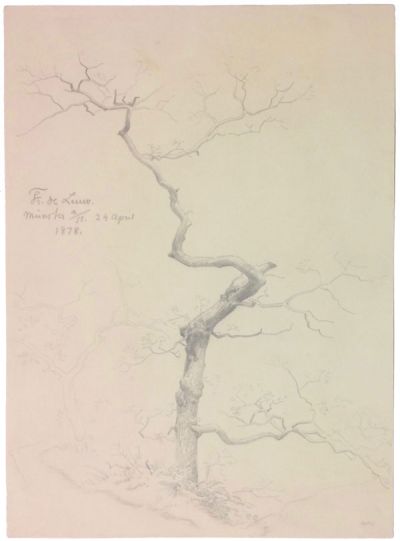 unbelaubter-baum-400-muenster-bleistift.jpg