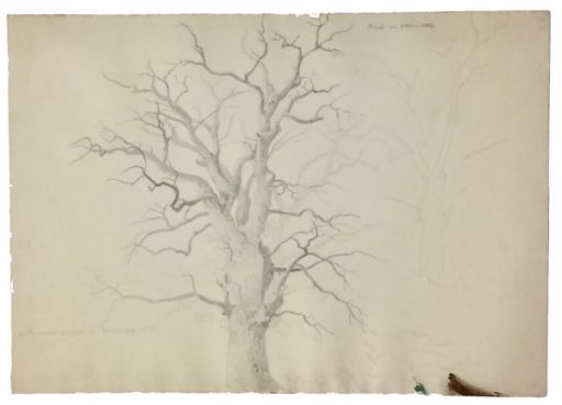 unbelaubter-baum-brueck-1847-512-bleistift.jpg