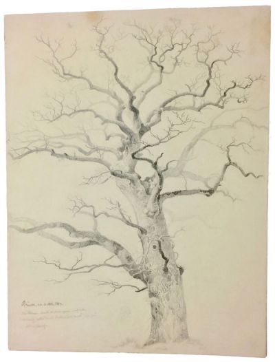 unbelaubter-baum-brueck-400-bleistift.jpg