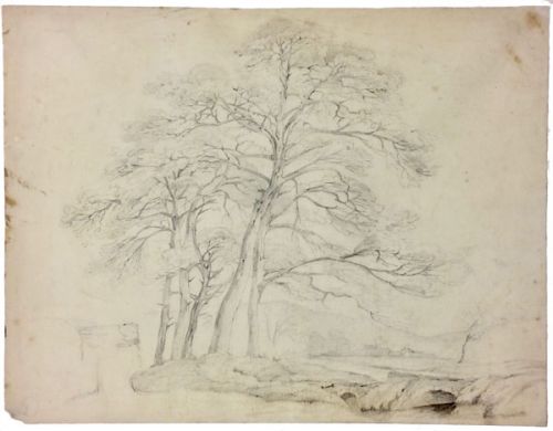 unbelaubter-baum-flusslandschaft-500-bleistift.jpg