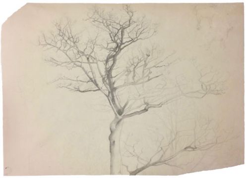unbelaubter-baum-und-zwei-hunde-500-bleistift.jpg