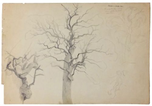 zwei-unbelaubte-baeume-brueck-500-bleistift.jpg